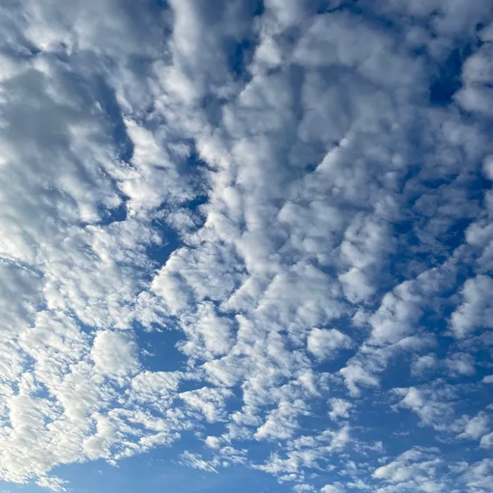 伊豆高原の空