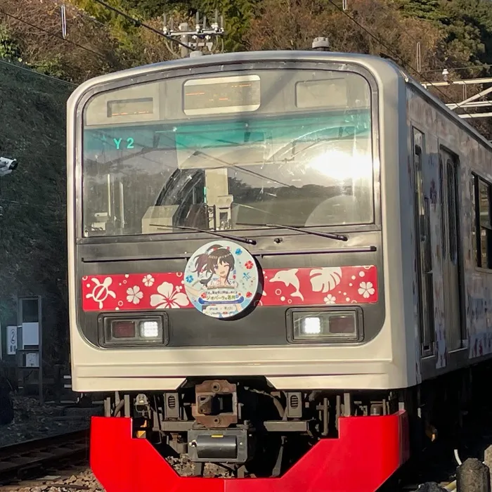 伊豆急行3000系　アロハ電車