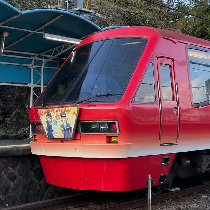 伊豆急行　キンメ電車